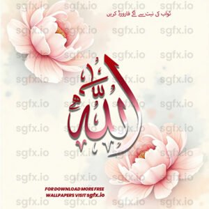 Islamic Wishes