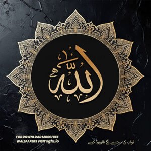 Islamic Wishes